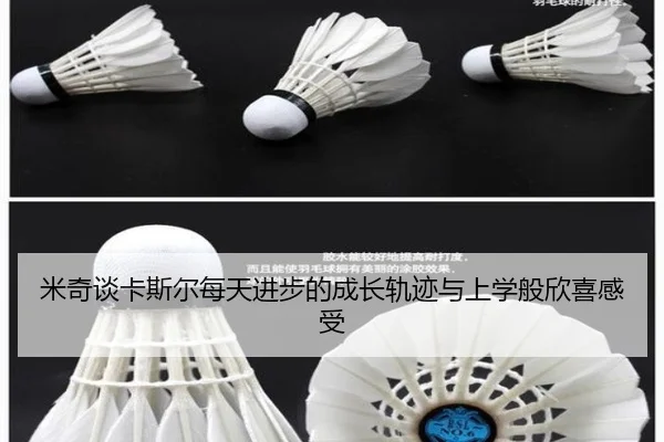 米奇谈卡斯尔每天进步的成长轨迹与上学般欣喜感受